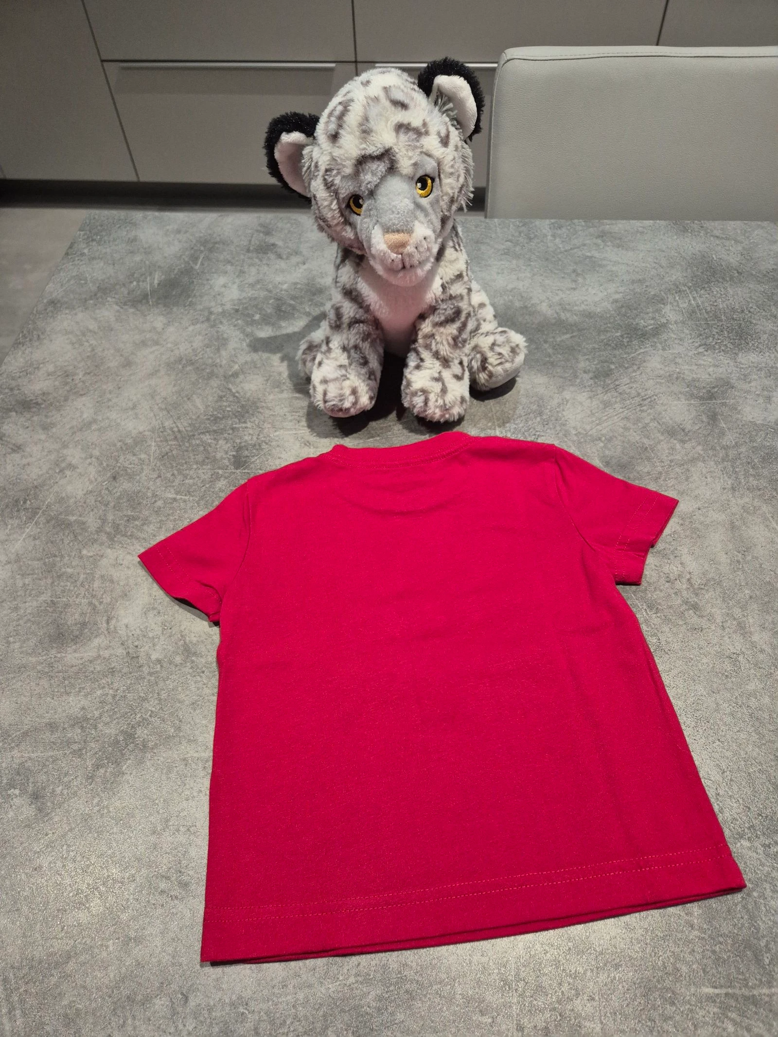 Camiseta Jordan – photo 5